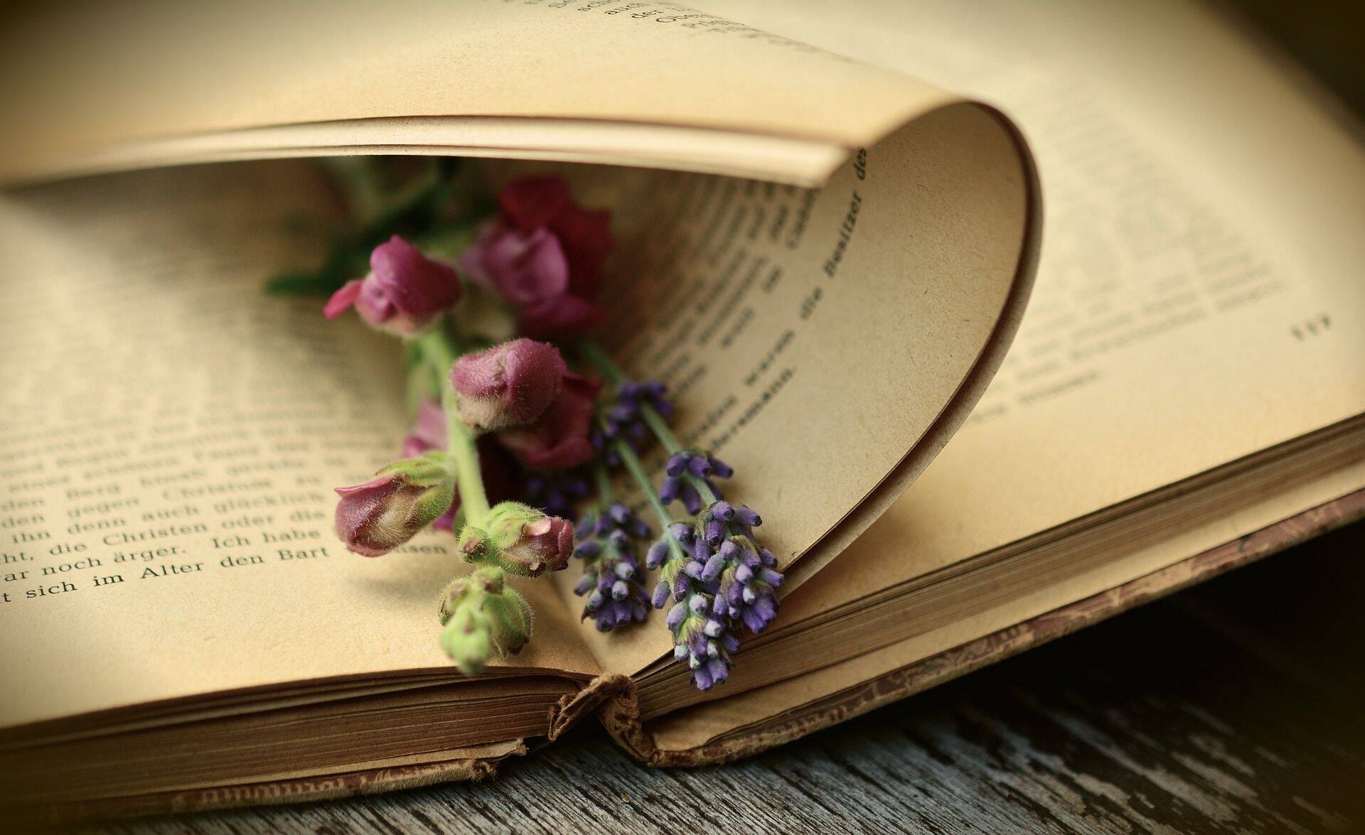 Libro_aperto