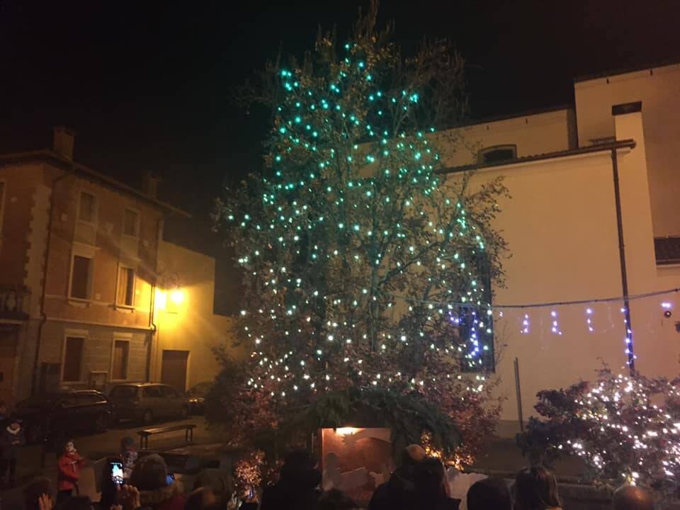 Albero illuminato