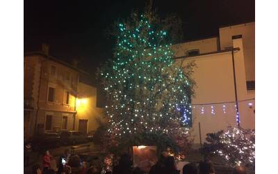 Albero illuminato
