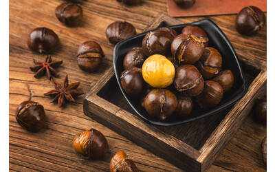 Immagine delle castagne