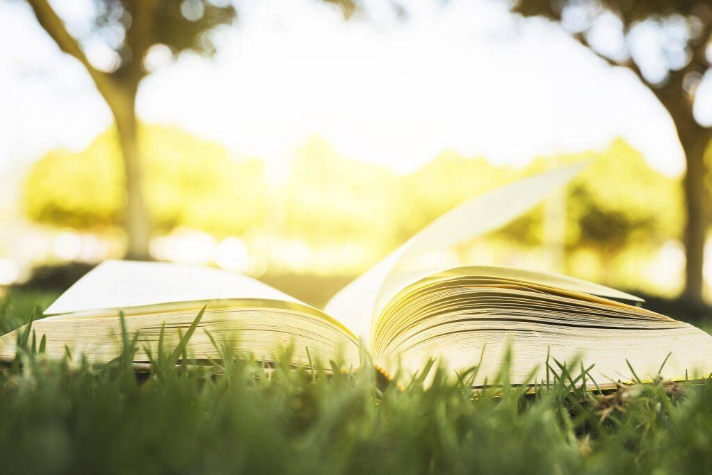 Libro_aperto_sull'erba