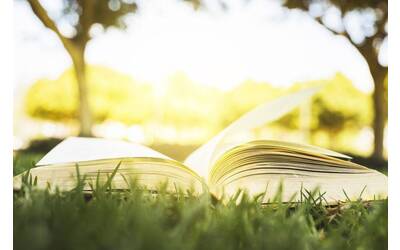 Libro_aperto_sull'erba