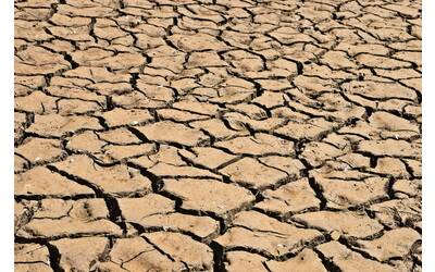 particolare di terreno secco e arido