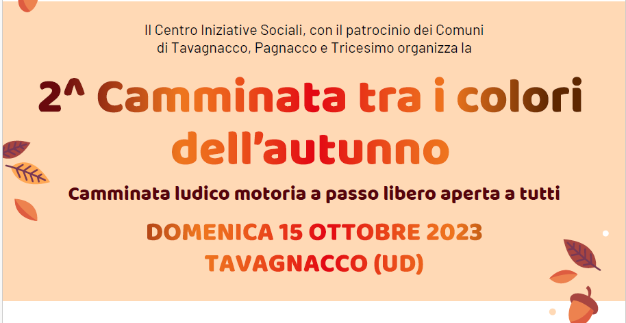 dettaglio locandina