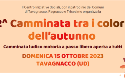 dettaglio locandina