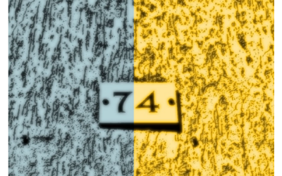 dettaglio della locandina