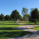 Immagine: Luoghi_Parco Adegliacco3