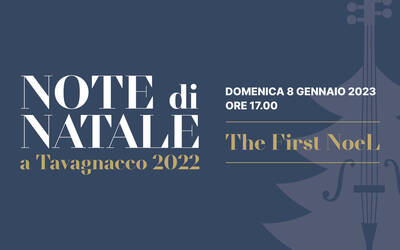 Immagine: Note di Natale_Banner_01-08
