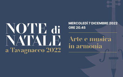 Immagine: Note di Natale_Banner_12-07