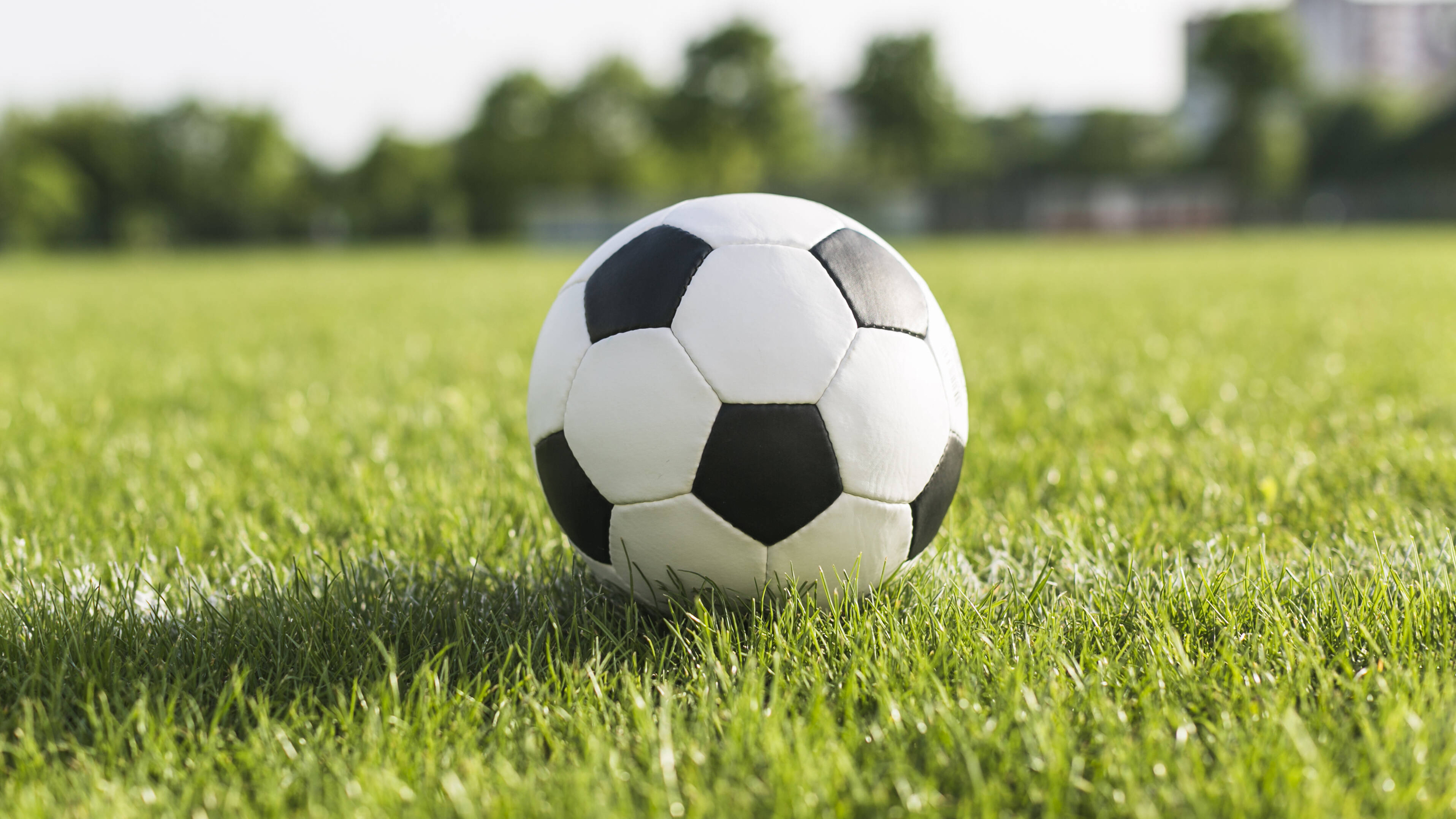Immagine con il pallone da calcio