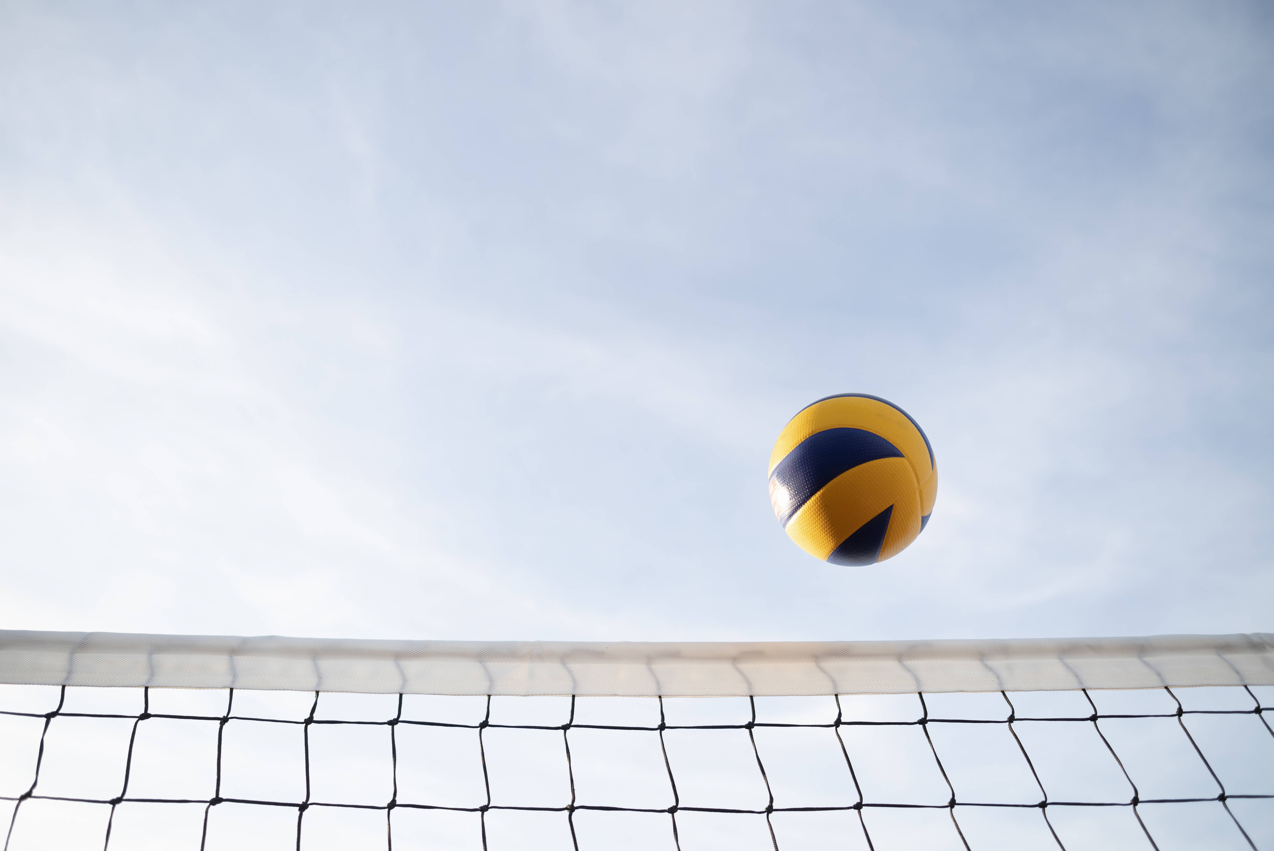 Immagine con palla da pallavolo