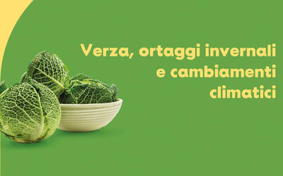 Convegno Festa della verza