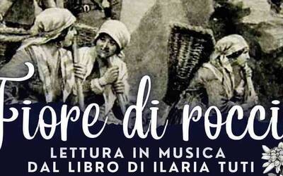 Immagine: Evento_Fiore di roccia