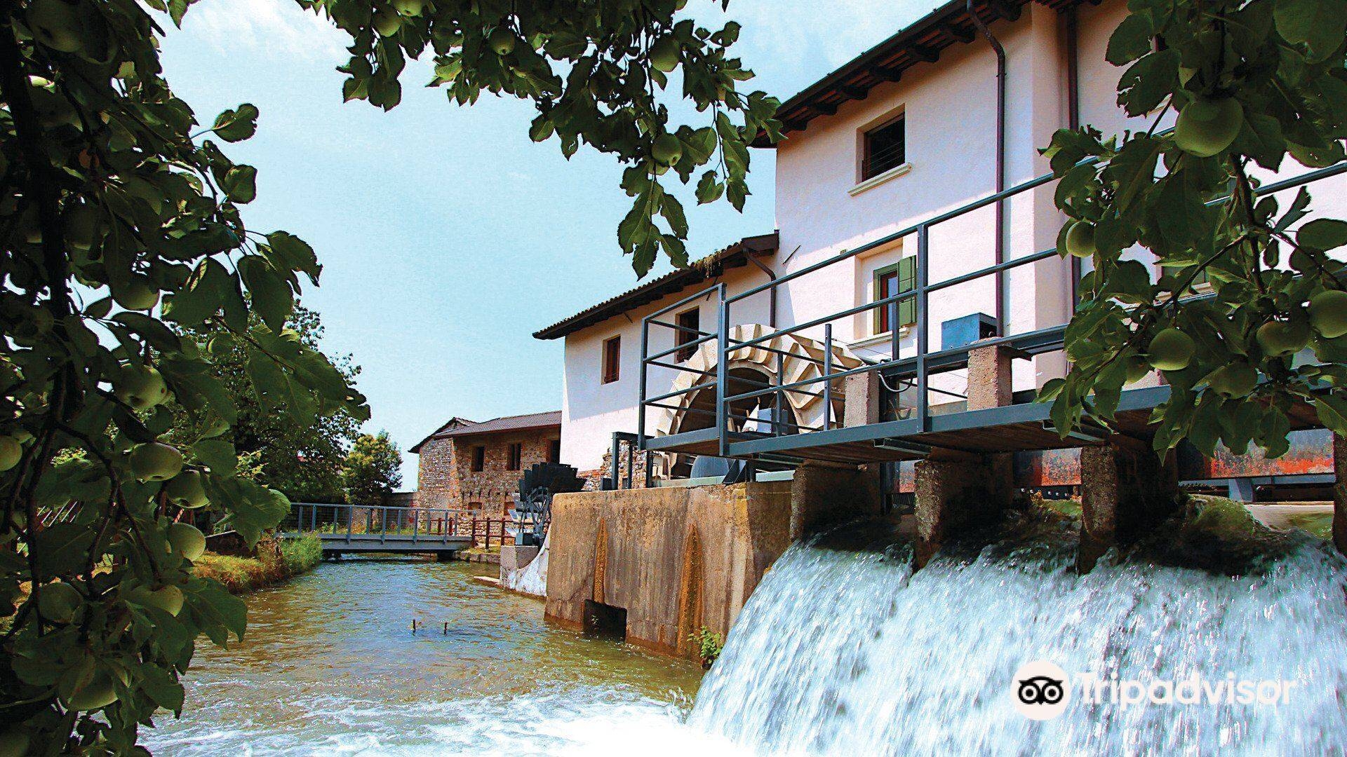 Immagine: Mulino di Adegliacco