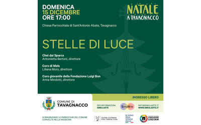 Immagine: Stelle di luce