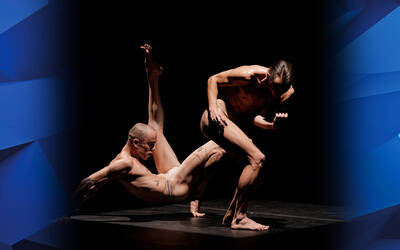 Immagine: Tripofobia