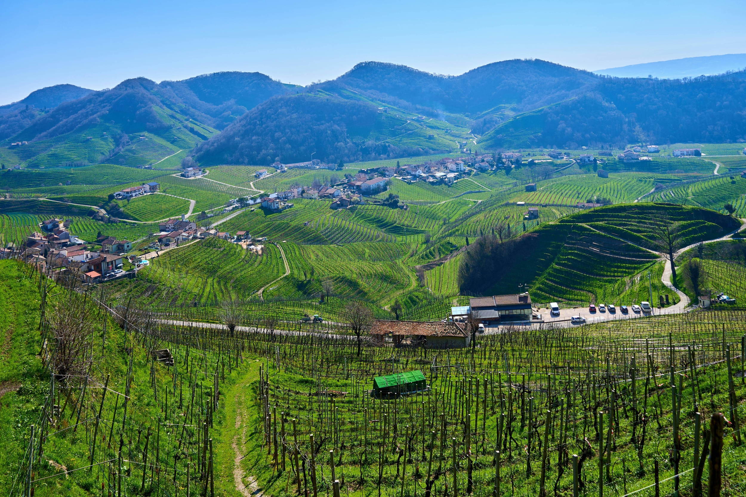 Immagine: Via del Prosecco