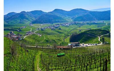 Immagine: Via del Prosecco